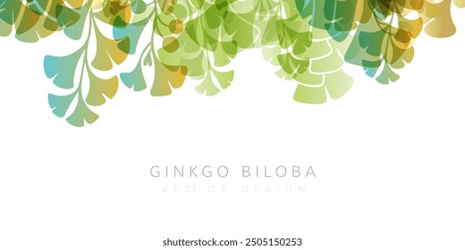 Herbal decorative banner. Vector background with plants design elements. Top border with ginkgo biloba leaves and branches.