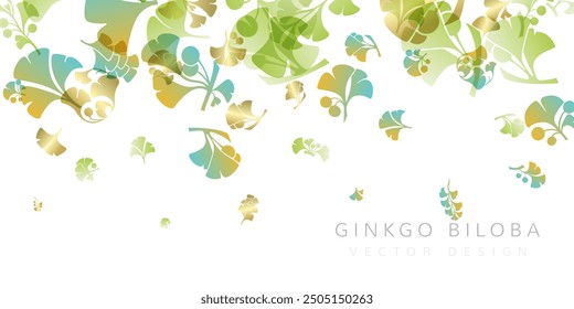 Herbal decorative banner. Vector background with plants design elements. Top border with falling ginkgo biloba leaves and branches.