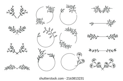 Kräuterdekorative Vektorelemente. Kranz, Vignette, Divider