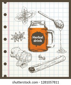 herbal drink doodle set vector