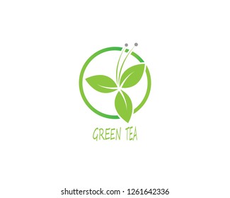  Herbal drink logo design template - Vector