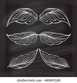 Herbal elements set for your design on the chalkboard.