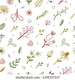 Herbal  and floral doodle seamless pattern. Vector hand drawn botanical illustration.