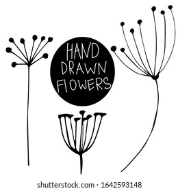 Herbal and floral doodle set. leaf and flovers. Vector hand drawn botanical illustration. Isolated objects on white