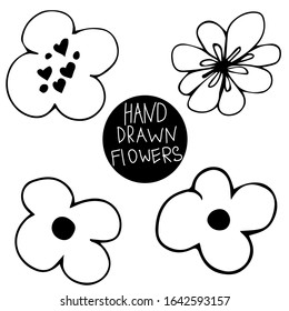 Herbal and floral doodle set. leaf and flovers. Vector hand drawn botanical illustration. Isolated objects on white