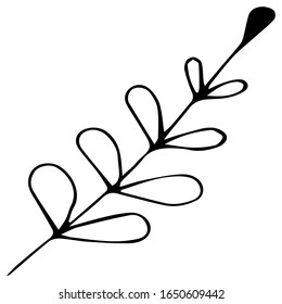 Conjunto de doodles herbales y florales. hojas y suelos. Ilustración botánica dibujada a mano del vector. Objetos aislados en blanco