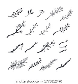 Herbal  and floral doodle set. Vector hand drawn botanical illustration. Isolated objects on white