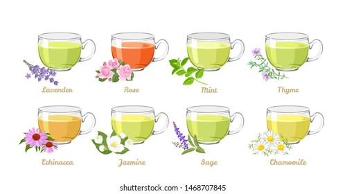 Herbal and flower teas set. Vector illustration of teas in glass cups isolated on white background. Lavender, Rose, Mint, Thyme, Echinacea, Jasmine, Sage and Chamomile drink in cartoon flat style.