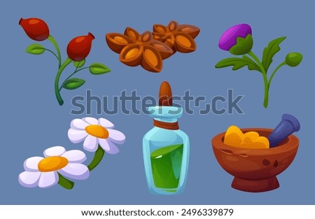 Herbal folk medicine elements set. Traditional homeopathy and naturopathy apothecary objects. Natural therapy herbs and equipment - pot with pestle, glass bottle with oil potion, flowers and berries.