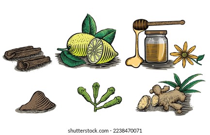 Herbal food therapy set. Isolated realistic ingredients on a white background. Ginger, honey, lime, cinnamon, cloves good for herbal drink water. Colored hand drawn Vector illustration, engraved style