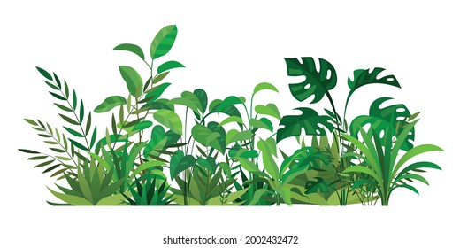 Herbal green decor. Beauty nature ferns and herbs. Tropical greenery with leaves and stems. Summer forest meadow plants. Natural botanical decoration. Vector wild field illustration