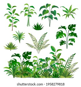 Herbal green elements. Tropical jungle leaves and brunches collection, paradise summer flora, rainforest isolated decor elements and clip art, exotic plants decorative border vector set
