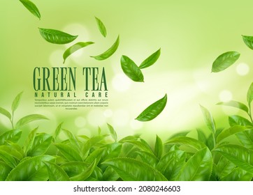 Herbal green tea plantation. Falling tea leaves, organic product background. Vector template of natural beverage advert. Falling 3d ceylon tea leaves on agriculture plantation field. Realistic poster