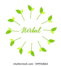 Herbal hand drawn logo, label with green floral frame, with leaf. Vector illustration eps 10 for food and drink, restaurants, menu, markets and organic products. Brush lettering, calligraphy.