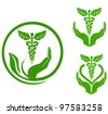 medical herbs logo
