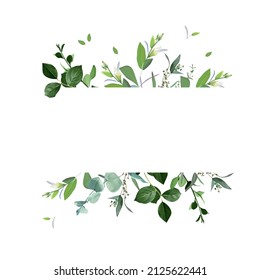 Herbal Eucalyptus Selection Vector Frames Hand Stock Vector (Royalty ...