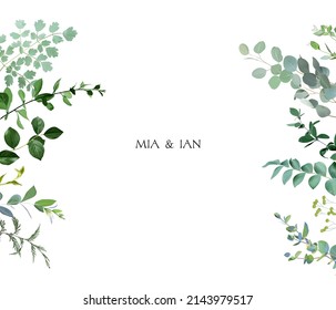 Herbal horizontal vector frame. Hand painted plants, branches, leaves on a white background. Greenery wedding simple invitation template. Watercolor style card. All elements are isolated and editable