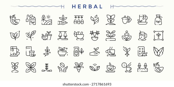 Conjunto de iconos de hierbas. Icono de hoja colección. Paquete de iconos web. Contiene hierbas, hojas, hierbas, orgánicos y más. Colecciones de trazo editables.
