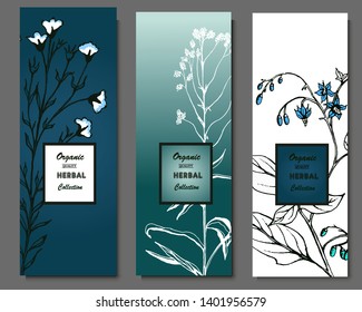 Herbal illustration on label packaging design. Hand drawn vector botanic set. 
