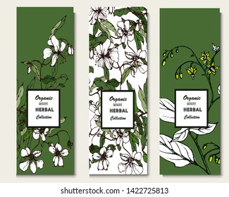 Herbal illustration on label packaging design. Hand drawn vector botanic set.  - Shutterstock ID 1422725813