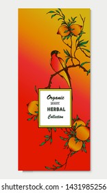 Herbal illustration on label packaging design. Hand drawn vector botanic banner with bird