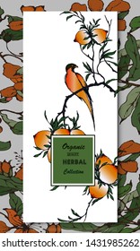 Herbal illustration on label packaging design. Hand drawn vector botanic banner with bird
