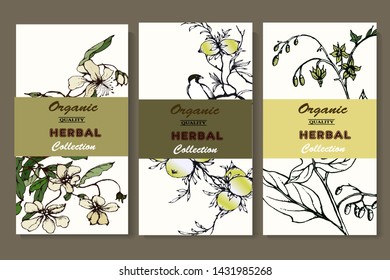 Herbal illustration on label packaging design. Hand drawn vector botanic set with bird