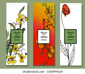 Herbal illustration on label packaging design. Hand drawn vector botanic set with bird