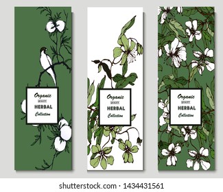 Herbal illustration on label packaging design. Hand drawn vector botanic set with bird - Shutterstock ID 1434431561