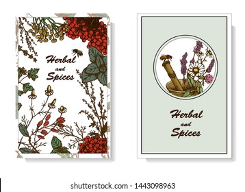 Herbal illustration on label packaging design. Hand drawn vector botanic set with bee