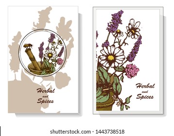 Herbal illustration on label packaging design. Hand drawn vector botanic set with bee