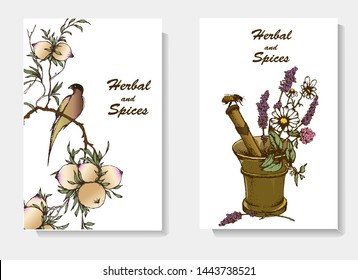 Herbal illustration on label packaging design. Hand drawn vector botanic set with bee and bird
