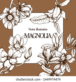 Herbal illustration on label packaging design. Hand drawn vector with magnolia