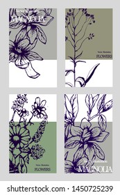 Herbal illustration on label packaging design. Hand drawn vector botanic set with flowers