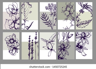 Herbal illustration on label packaging design. Hand drawn vector botanic set with flowers