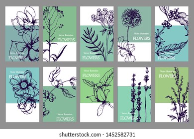 Herbal illustration on label packaging design. Hand drawn vector botanic set with flowers