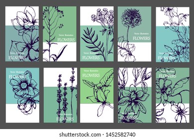 Herbal illustration on label packaging design. Hand drawn vector botanic set with flowers