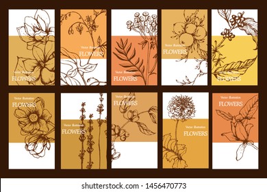 Herbal illustration on label packaging design. Hand drawn vector botanic set with flowers