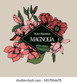 Herbal illustration on label packaging design. Hand drawn vector with magnolia