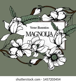 Herbal illustration on label packaging design. Hand drawn vector with magnolia