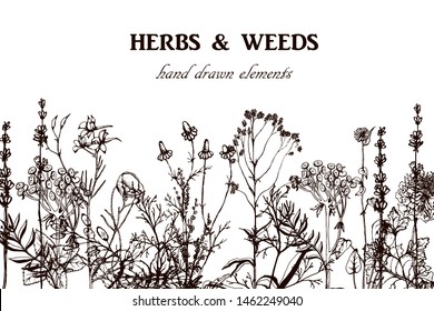 Herbal illustration on label packaging design. Hand drawn vector botanic set with flowers