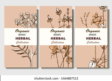 Herbal illustration on label packaging design. Hand drawn vector botanic set with flowers