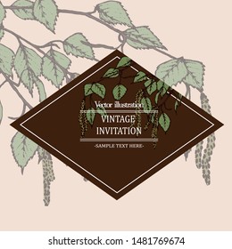 Herbal illustration on label packaging design. Hand drawn vector botanic set with birch branch