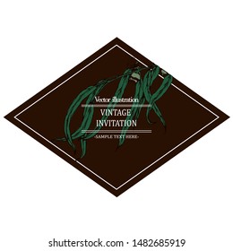 Herbal illustration on label packaging design. Hand drawn vector botanic set with leaves