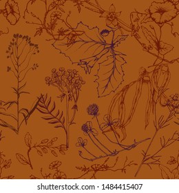 Herbal illustration on label packaging design. Hand drawn vector botanic seamless pattern