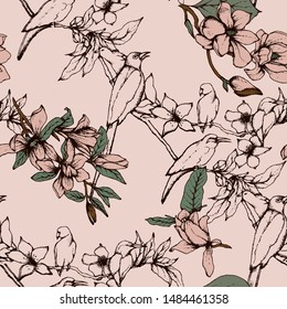 Ilustración herbal en el diseño del embalaje de etiquetas. Patrón botánico sin fisuras de vectores dibujado a mano con flores y aves