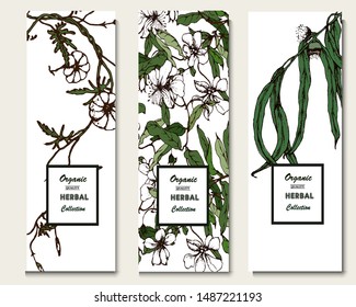 Herbal illustration on label packaging design. Hand drawn vector botanic set with curly flowers