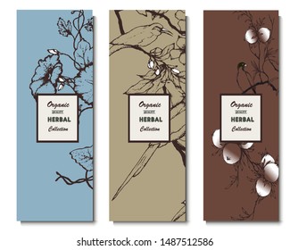 Herbal illustration on label packaging design. Hand drawn vector botanic set with curly flowers and birds