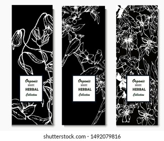 Herbal illustration on label packaging design. Hand drawn vector botanic set with curly flowers and birds