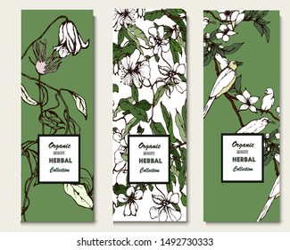 Herbal illustration on label packaging design. Hand drawn vector botanic set with curly flowers and birds